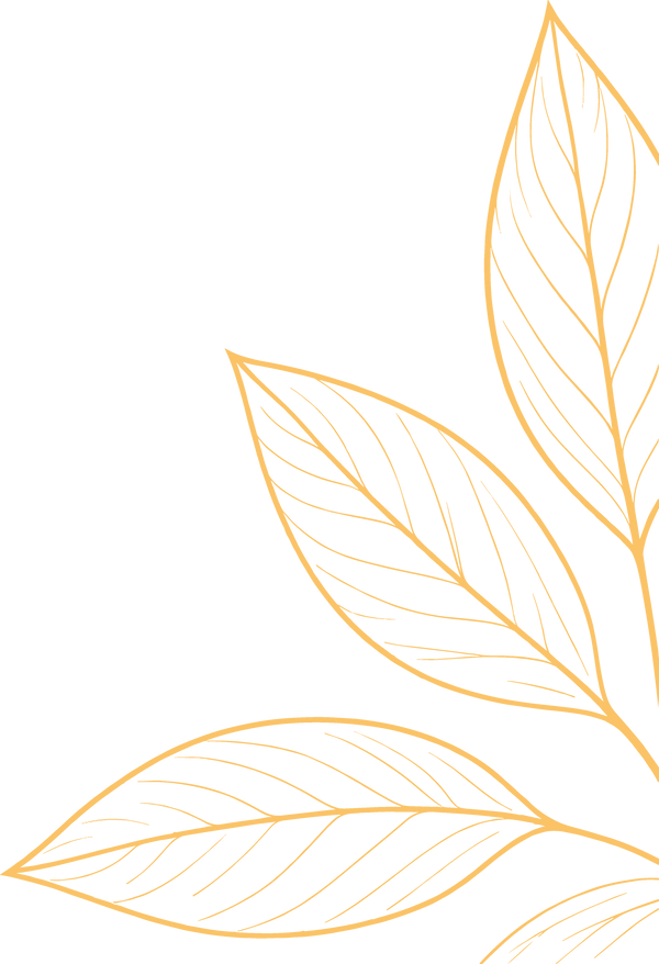 Minimalist gold line art illustration of stylized leaves on a solid white background.